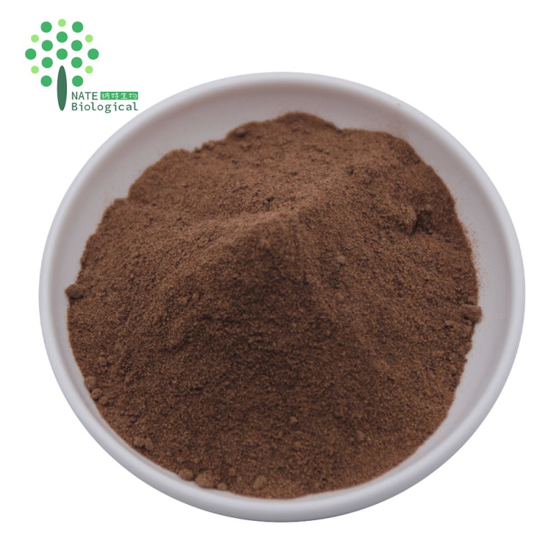 Hericium Erinaceus Extract Hericenones and Erinacines 4% Powder