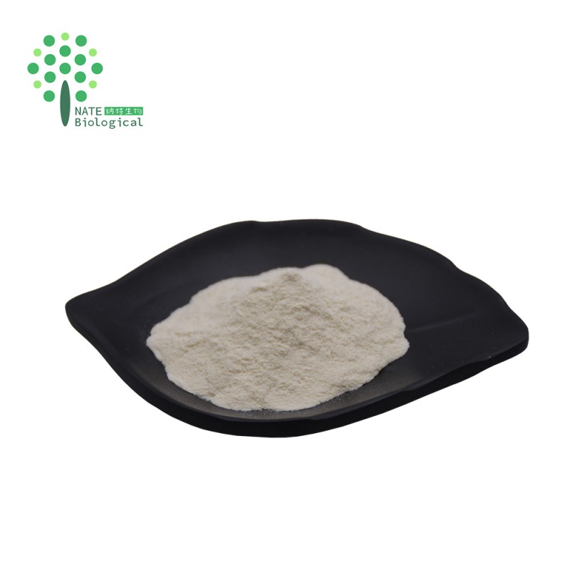 Cosmetics Raw Material Snail Slime Extract Powder