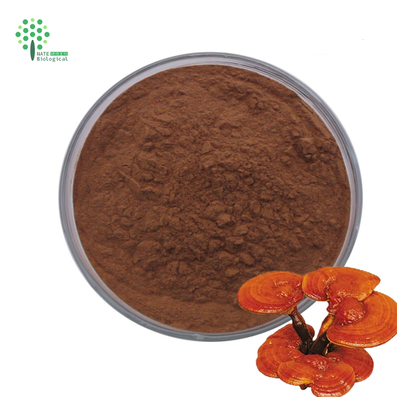 OEM Customized Herbal Extract Capsules Lion's Mane Cordyceps Turkey Tail Maitake Reishi Chaga Mushroom Powder