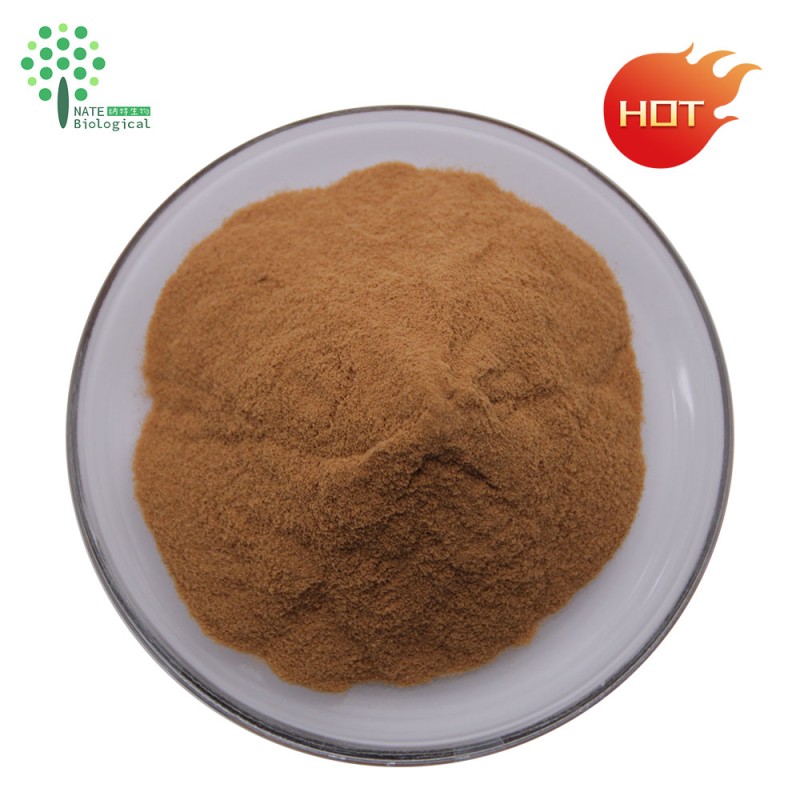 Antrodia Cinnamomea Extract Polysaccharides Powder for Dietary Supplement