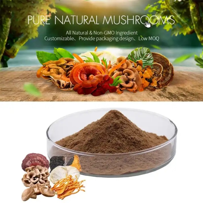 3 in 1 Blend Mushroom Extract Coffee Powder Lions Mane Cordyceps  Reishi