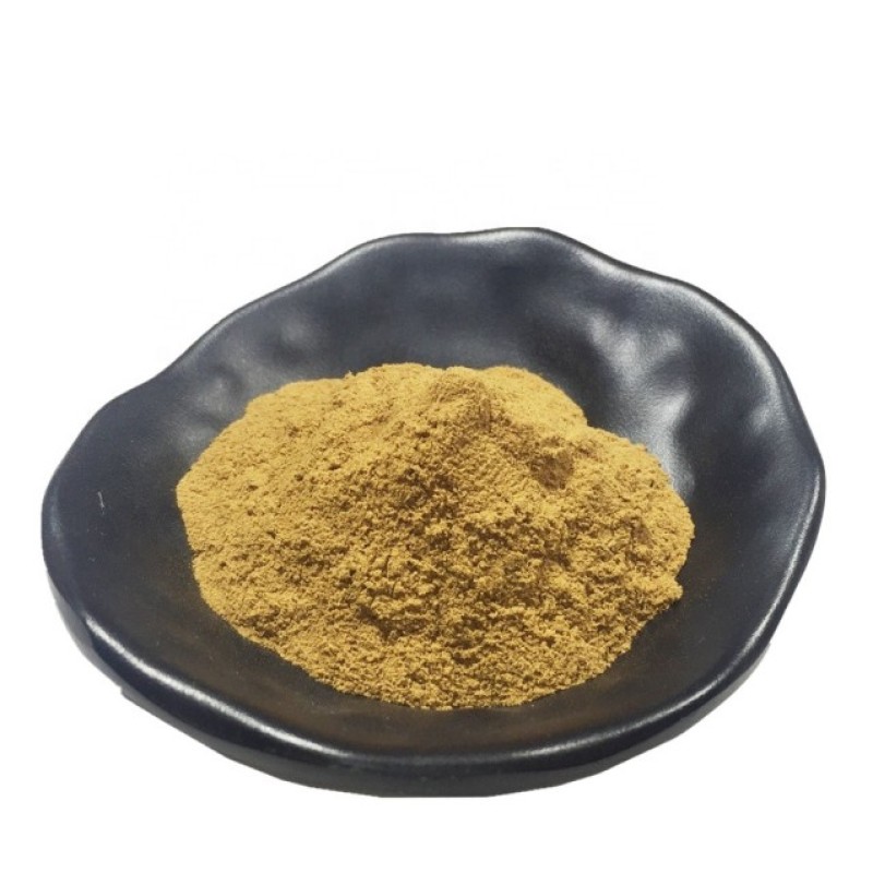 Supplement Sparassis Crispa Extract Polysaccharide Powder