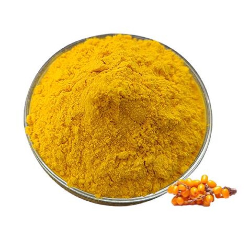 Food Grade Fruit Powder Sea Buckthorn Bulk Powder