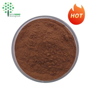 Miracle Booster Wholesale Reishi Mushroom Powder Extract Concentrates Polysaccharide 50%