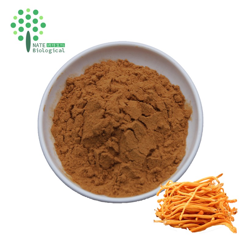 Wholesale Bulk Cordyceps Militaris Mushroom Powder Extract Cordycepin Powder