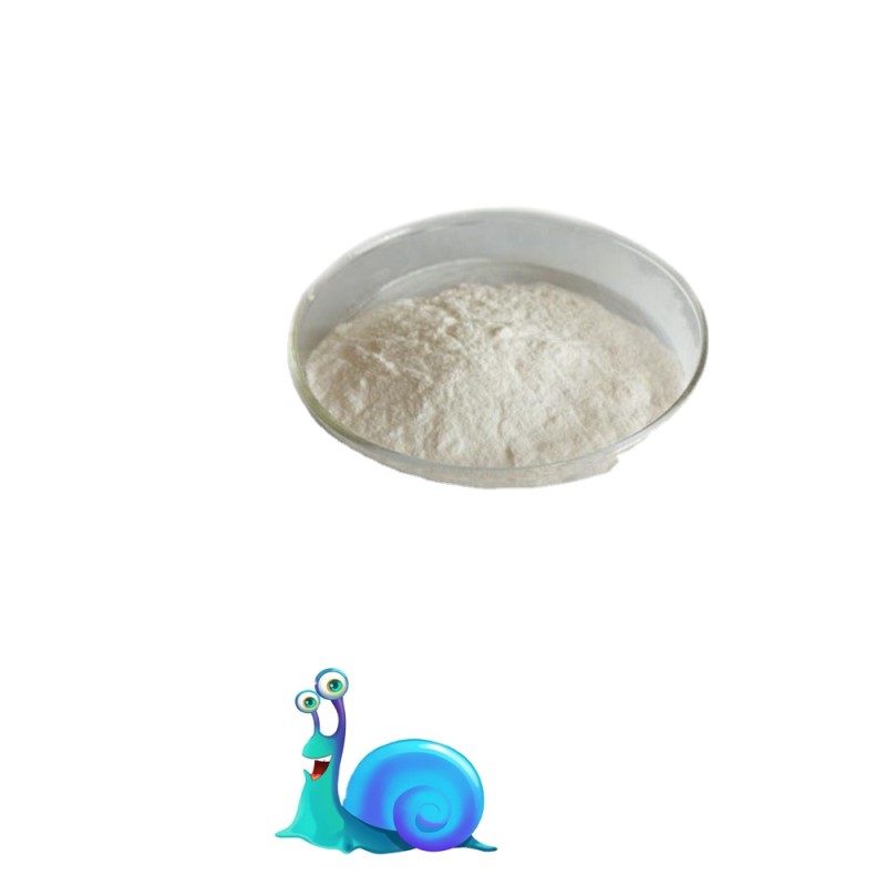 Snail Mucus Skin Care Material Snail Slime Powder Bulk