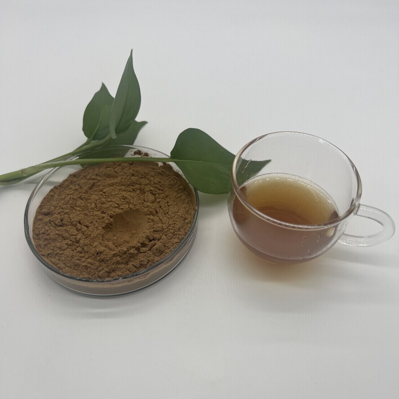 Bulk Honeysuckle Flower Extract Chlorogenic Acid 10% Powder