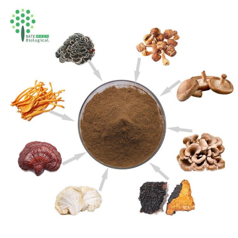 8 in 1 Powerful Mushroom Extract Blend Powder Complex Lions Mane, Reishi, Cordyceps, Chaga, Shiitake, Maitake,turkey Tail