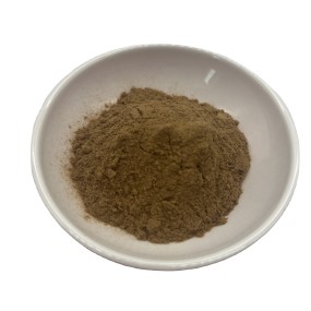 Laricifomes Officinalis Fomes Officinalis Extract Polysaccharide Powder