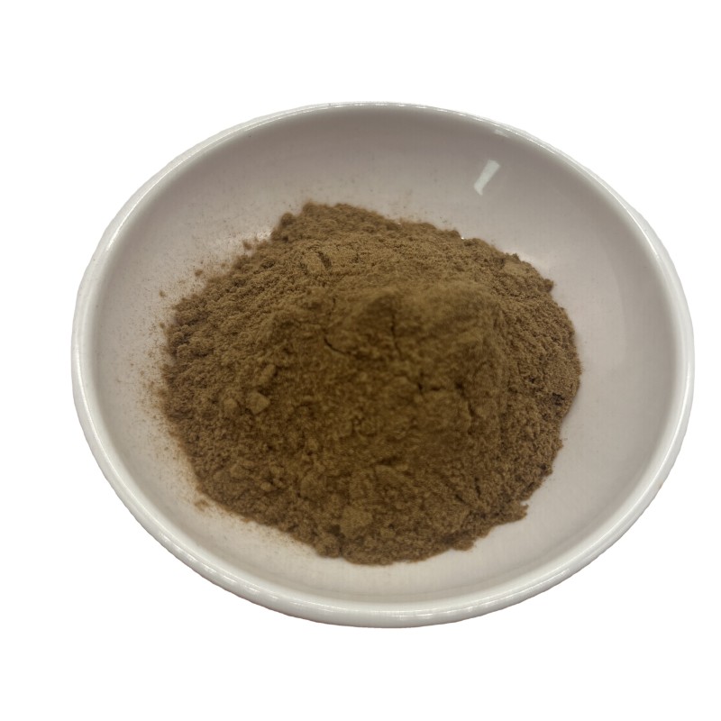 Laricifomes Officinalis Fomes Officinalis Extract Polysaccharide Powder