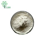 Skin Care Material Snail Powder Snail Slime Extract Powder