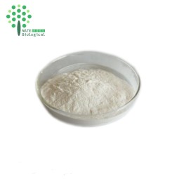Helix Aspersa Snail Powder Pure Snail Slime Extract for Skin Care