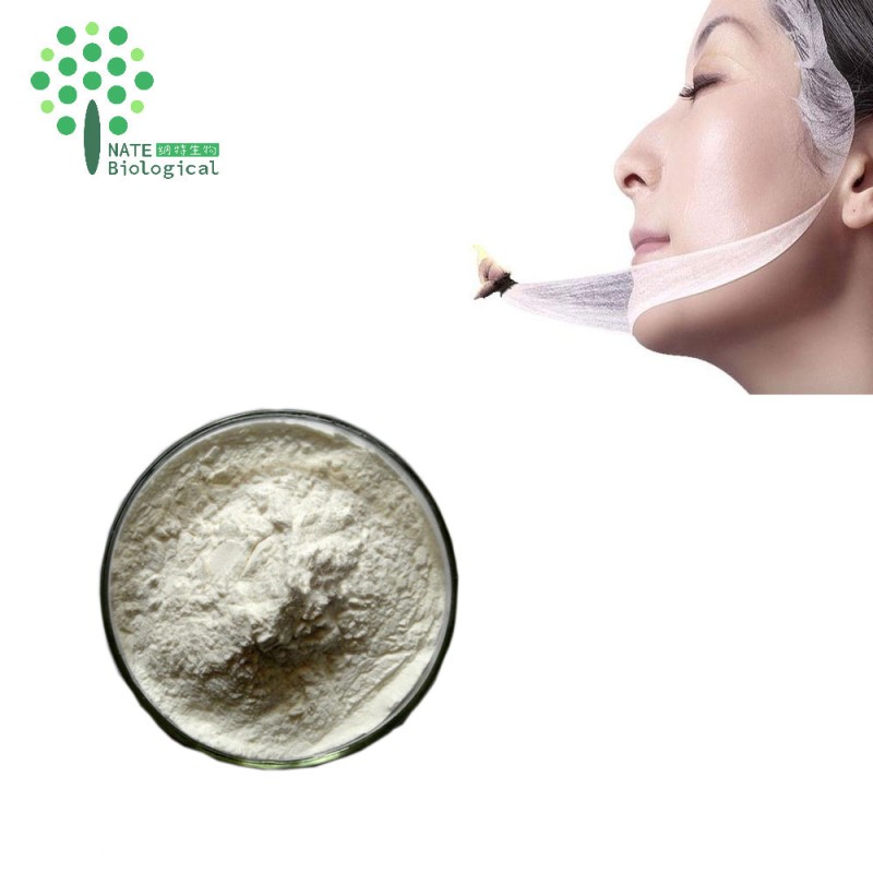 Helix Aspersa Snail Powder Pure Snail Slime Extract for Skin Care
