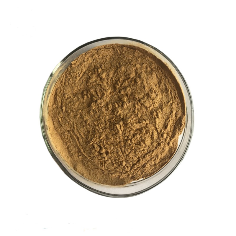 30% Polysaccharides Powder Phallus Impudicus Mushroom Extract UV Test Available in Drum or Glass Container Packaging