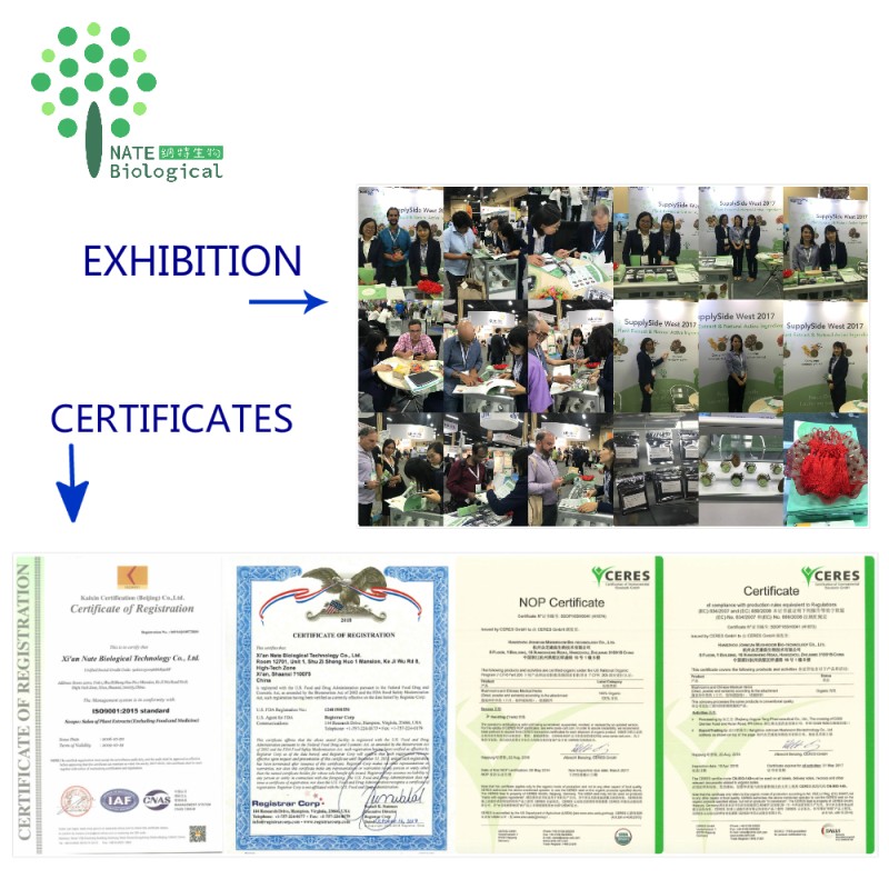 Snail Mucus Skin Care Material Snail Slime Powder Bulk