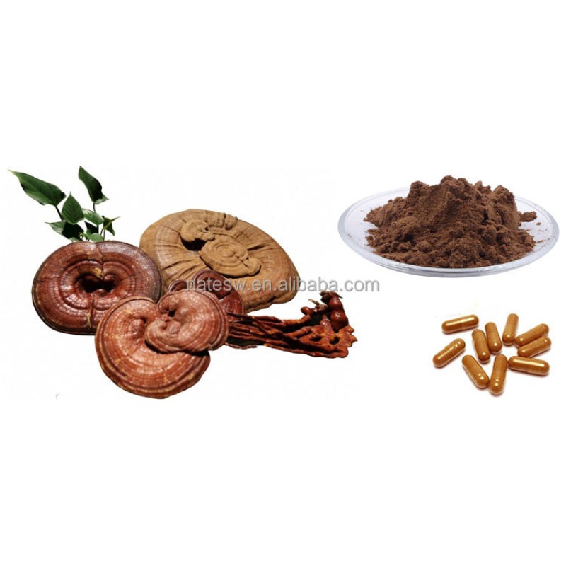 OEM Mushroom Extract Powder Customized Capsules Mushroom Mixed  Powder