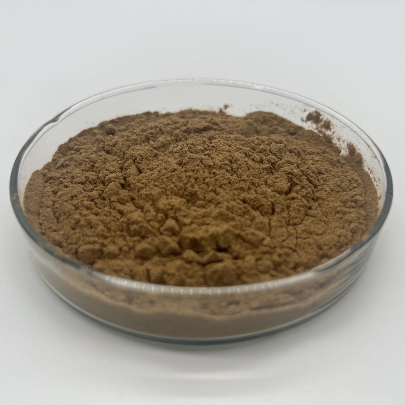 Laricifomes Officinalis Fomes Officinalis Extract Polysaccharide Powder