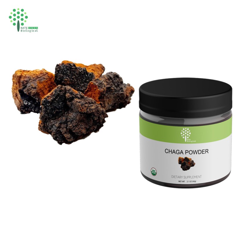 Customized Private Chaga Mushroom Extract Powder with 60G  2.1OZ Jars