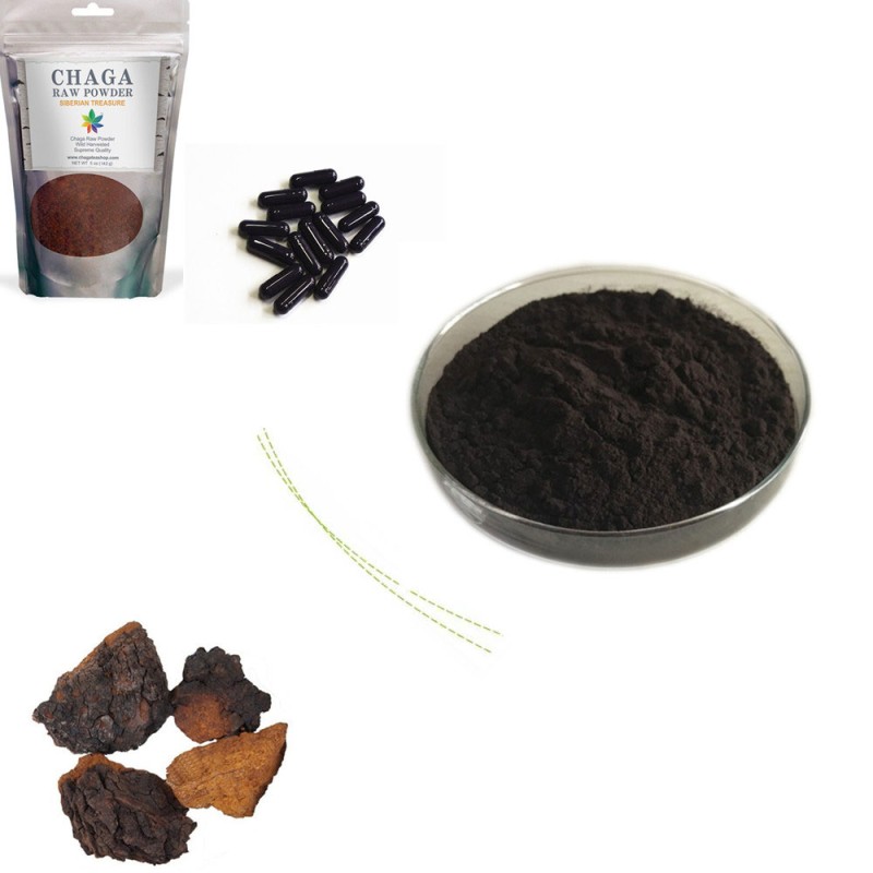 Bulk Supply Chaga Mushroom Extract Chaga Dual Extract Polysaccaride 20% Triterpene 4%
