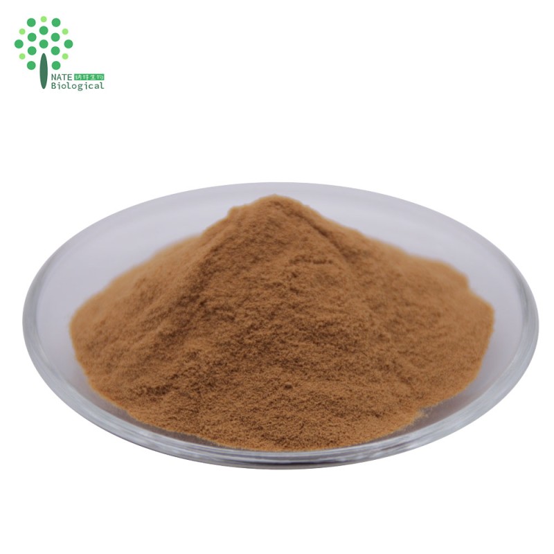 Antrodia Cinnamomea Extract Polysaccharides Powder for Dietary Supplement
