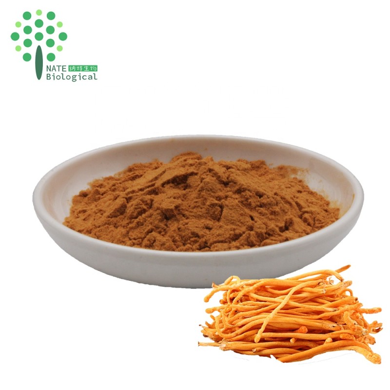 Wholesale Bulk Cordyceps Militaris Mushroom Powder Extract Cordycepin Powder