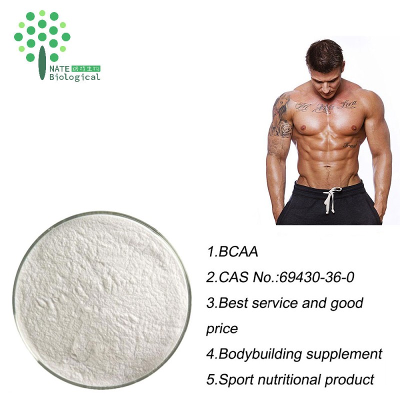Factory Supply Best Price Bodybuilding Supplements BCAA Powder 2:1:1