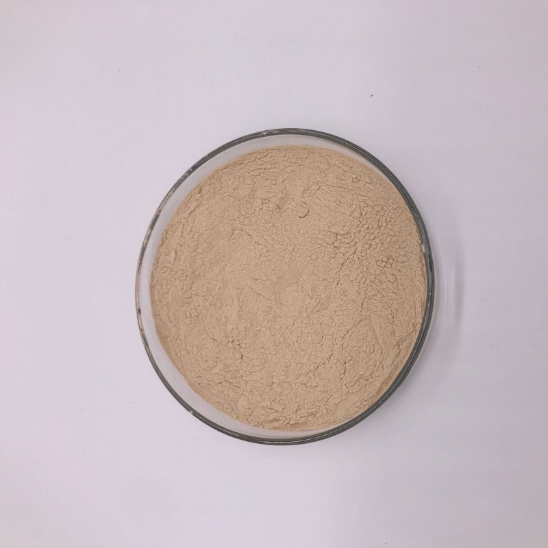 Bulk Natural Garlic Extract Allicin Powder 1%