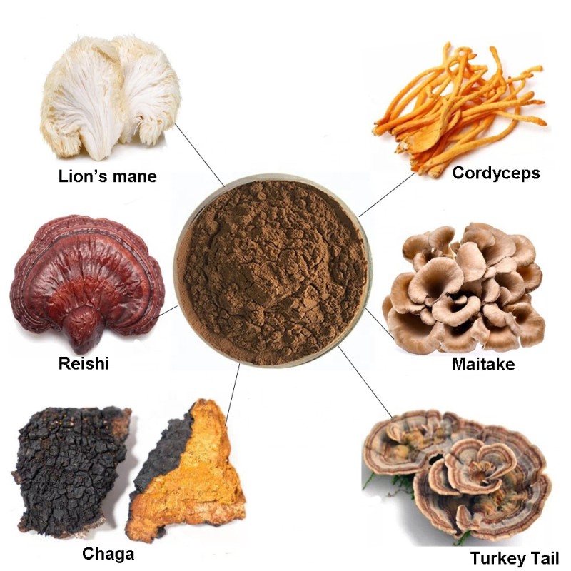 6 in 1 Powerful Mushroom Extract Blend Powder -Lions Mane, Reishi, Cordyceps, Chaga, Turkey Tail, Maitake Extract