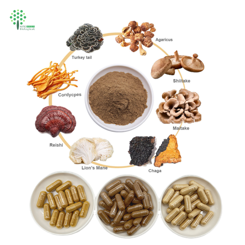 OEM Customized Herbal Extract Capsules Lion's Mane Cordyceps Turkey Tail Maitake Reishi Chaga Mushroom Powder