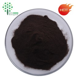 Bulk Supply Chaga Mushroom Extract Chaga Dual Extract Polysaccaride 20% Triterpene 4%
