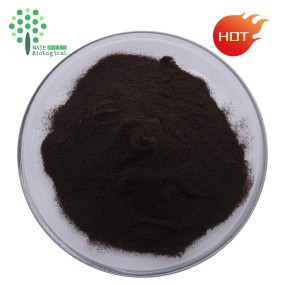 Bulk Supply Chaga Mushroom Extract Chaga Dual Extract Polysaccaride 20% Triterpene 4%