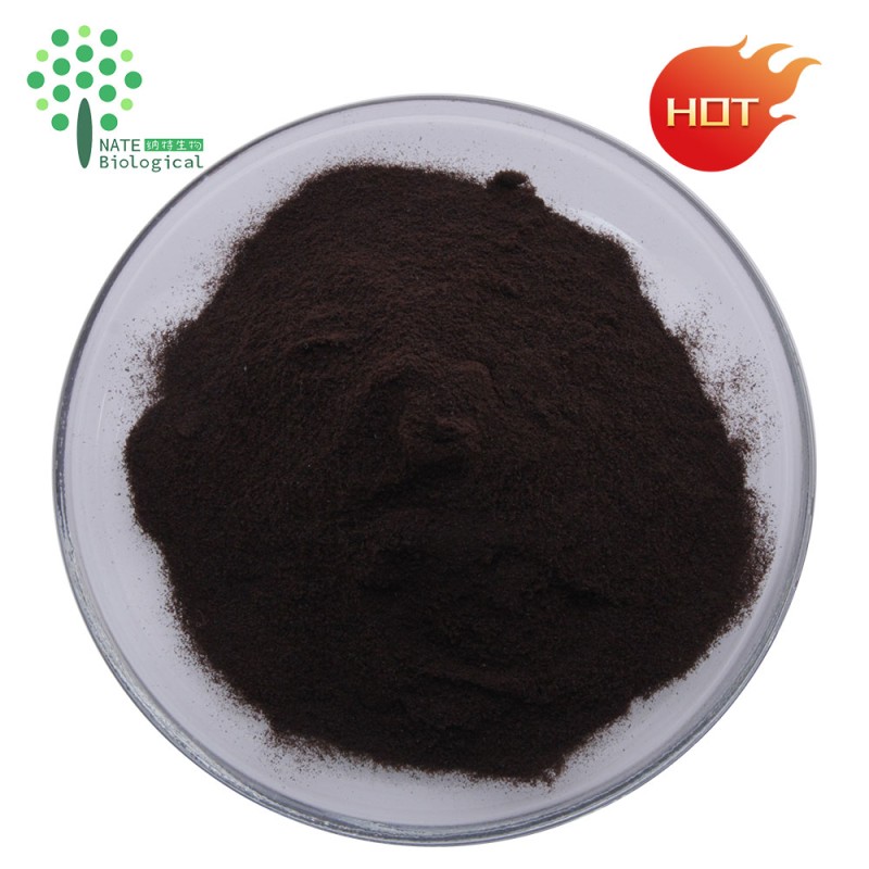 Bulk Supply Chaga Mushroom Extract Chaga Dual Extract Polysaccaride 20% Triterpene 4%