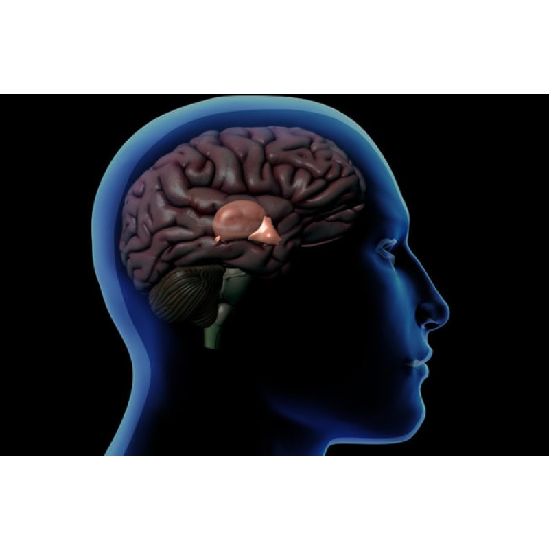 Supplement 99% Purity Melatonin  Powder Bulk Cas 73-31-4