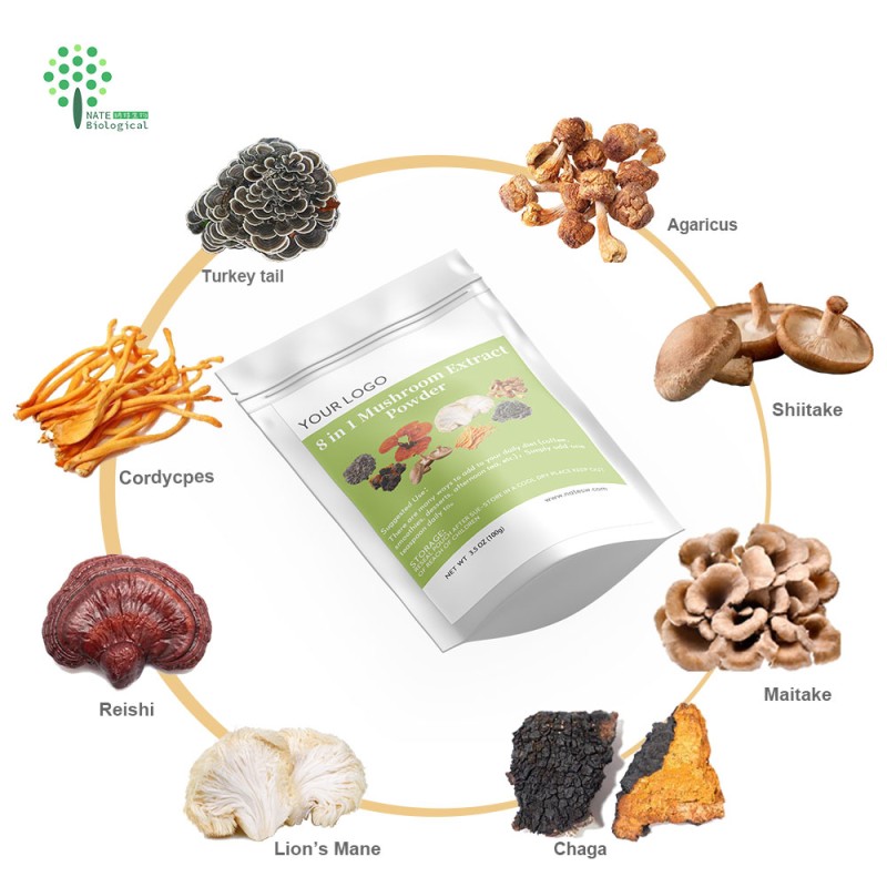 Customized Private Label Organic 8 in 1 Instant Mushroom Blend Powder 100G 3.5 OZ BAG