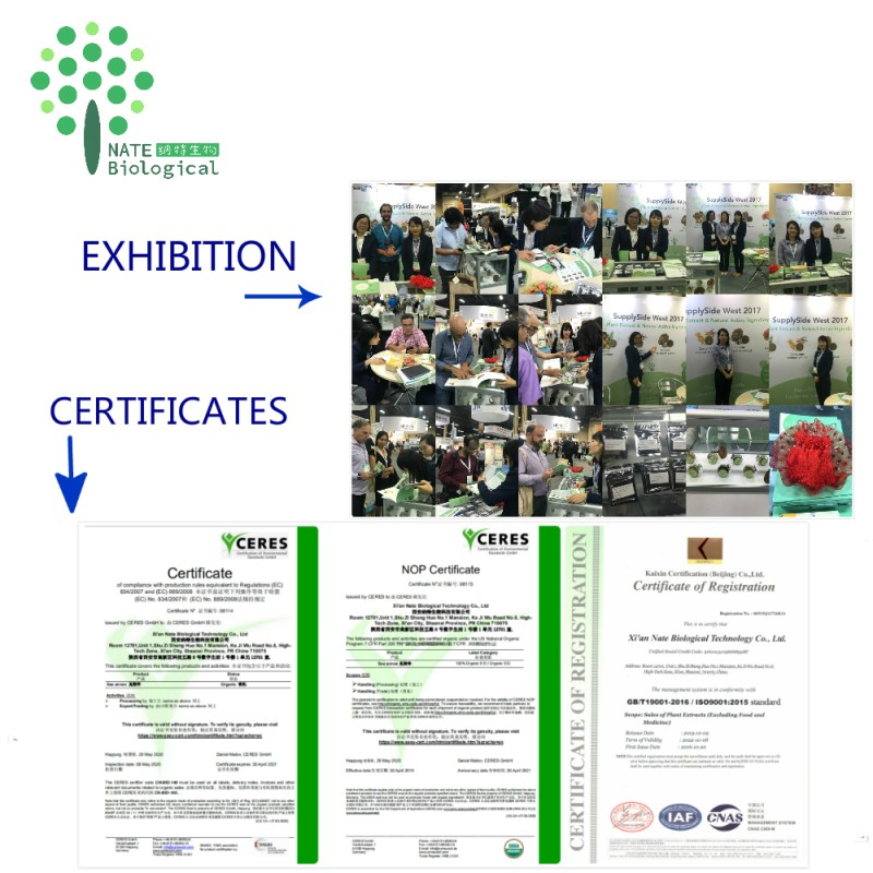 Helix Aspersa Snail Powder Pure Snail Slime Extract for Skin Care