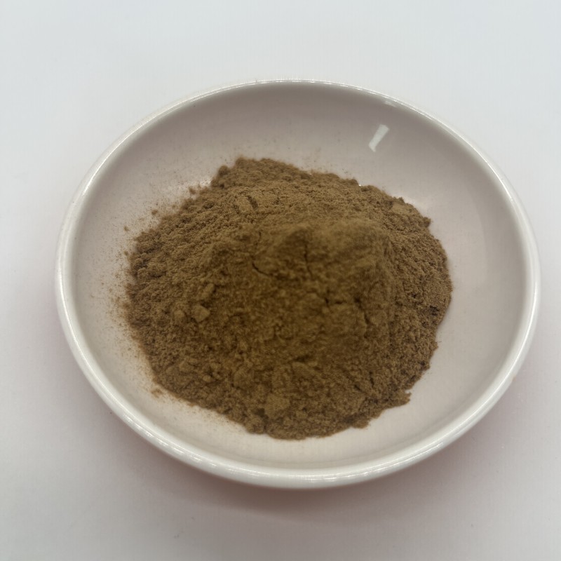 Bulk Honeysuckle Flower Extract Chlorogenic Acid 10% Powder
