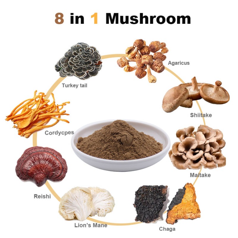 8 in 1 Powerful Mushroom Extract Blend Powder Complex Lions Mane, Reishi, Cordyceps, Chaga, Shiitake, Maitake,turkey Tail