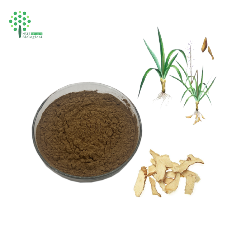 Zhimu Powder Rhizoma Anemarrhenae Extract Powder