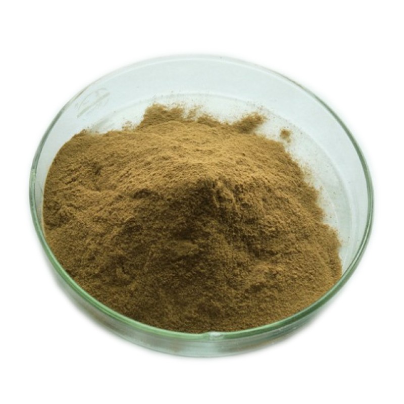 Supplement Artichoke Extract Powder 2.5% 5% Cynarin Powder