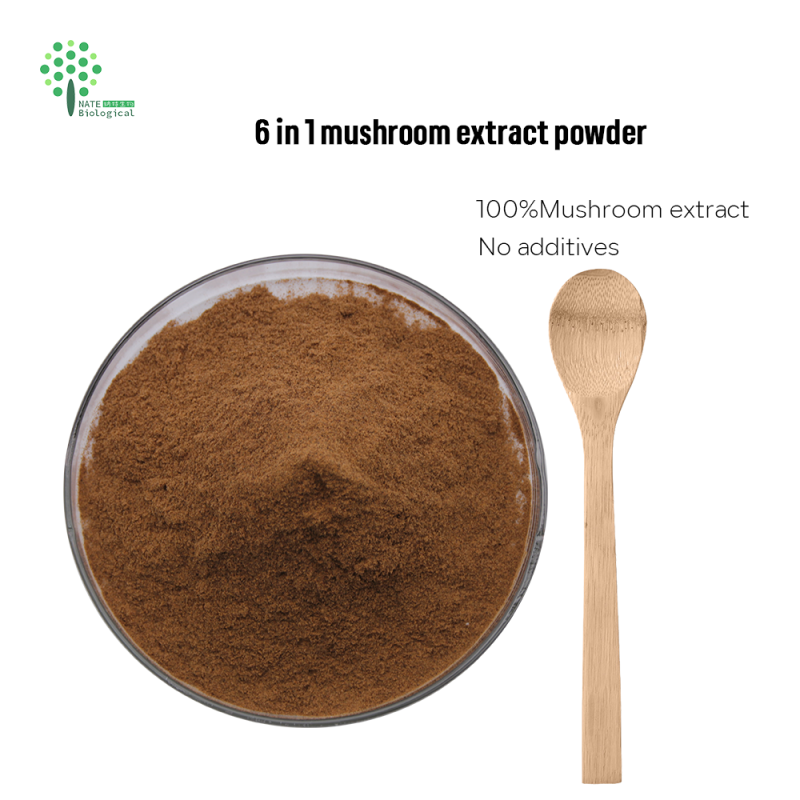 6 in 1 Powerful Mushroom Extract Blend Powder -Lions Mane, Reishi, Cordyceps, Chaga, Turkey Tail, Maitake Extract