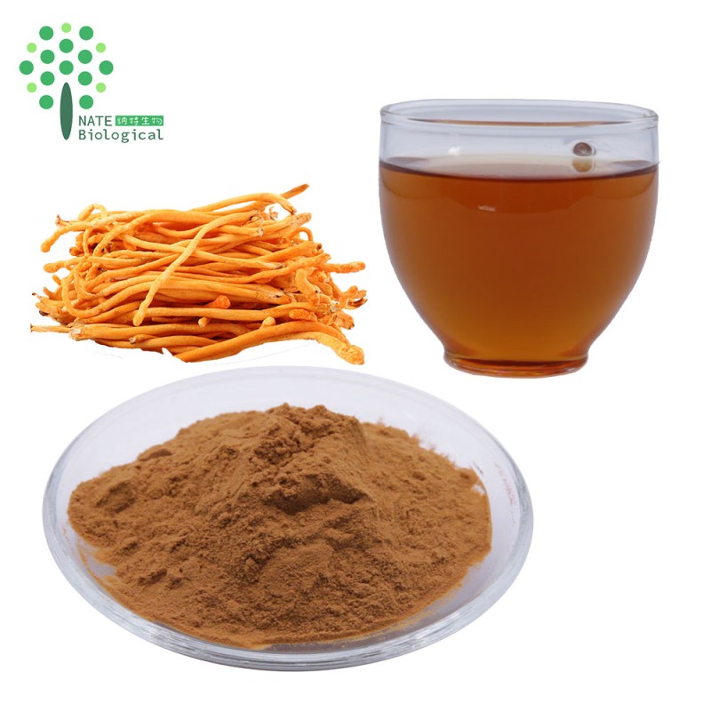 OEM Customized Herbal Extract Capsules Lion's Mane Cordyceps Turkey Tail Maitake Reishi Chaga Mushroom Powder