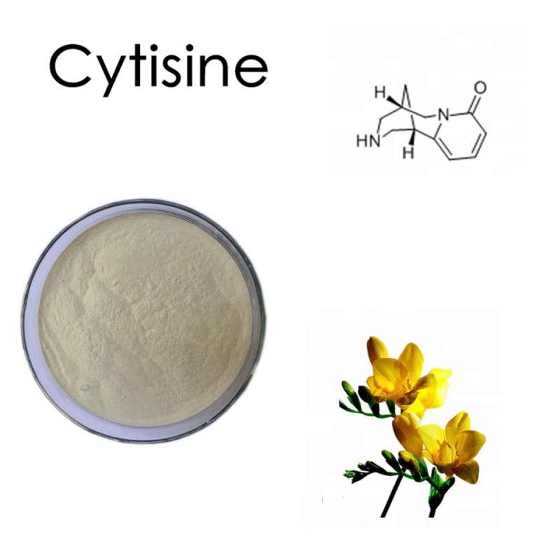 High Purity 99% Cytisine Powder From Thermopsis Lanceolata Extract