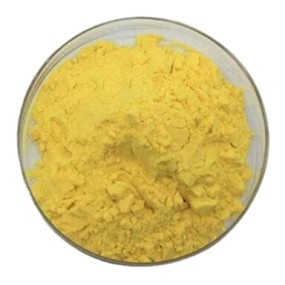 Food Grade Fruit Powder Sea Buckthorn Bulk Powder