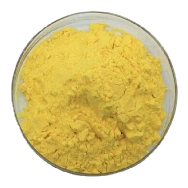Food Grade Fruit Powder Sea Buckthorn Bulk Powder