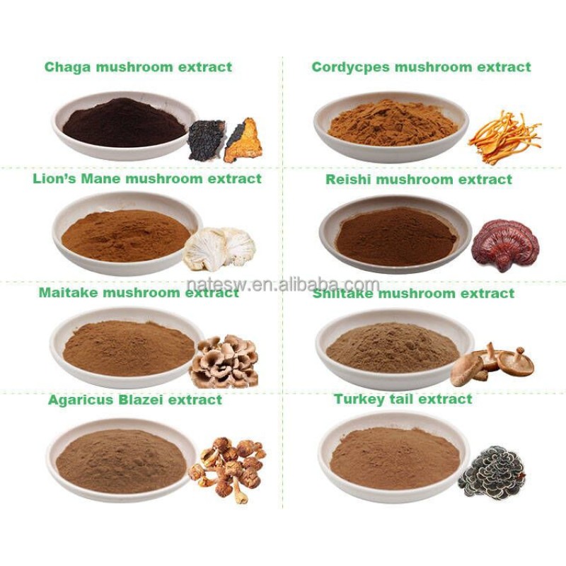 8 in 1 Powerful Mushroom Extract Blend Powder Complex Lions Mane, Reishi, Cordyceps, Chaga, Shiitake, Maitake,turkey Tail