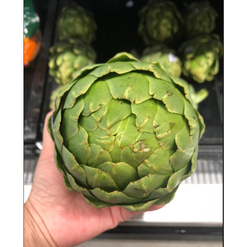 Supplement Artichoke Extract Powder 2.5% 5% Cynarin Powder