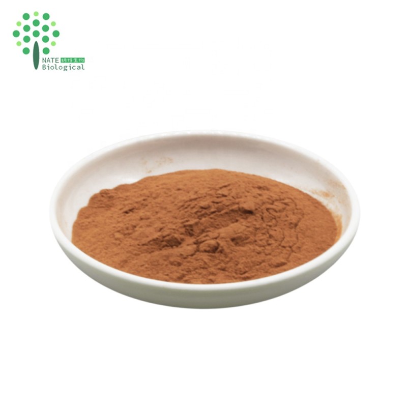 Lions Mane Mushroom Extract Polysaccharide Beta Glucan Powder