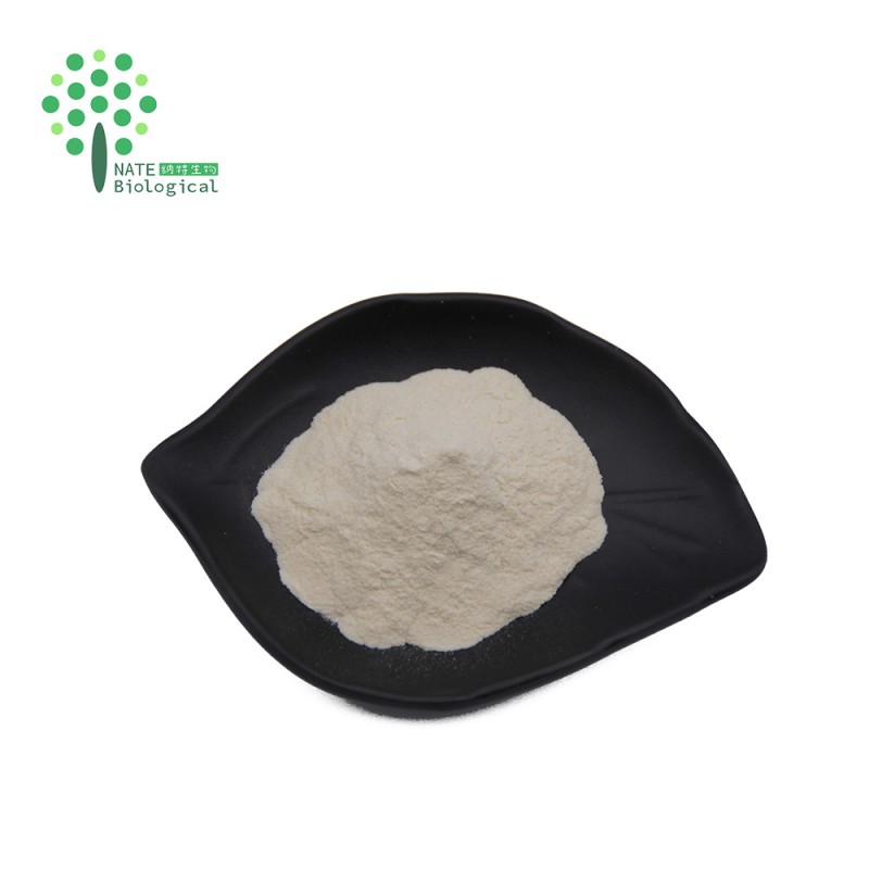 Cosmetics Raw Material Snail Slime Extract Powder