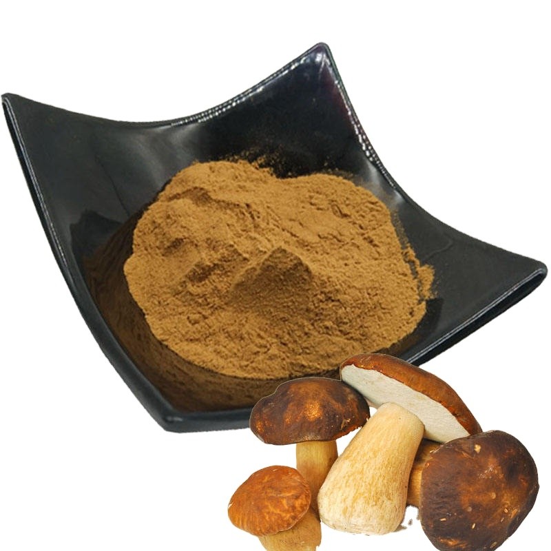 Immunity Enhancing Material Boletus Edulis Mushroom Extract Powder Polysaccharide 50%