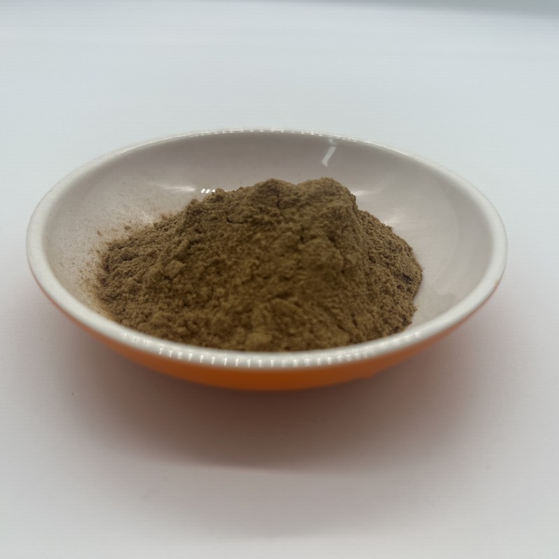 Laricifomes Officinalis Fomes Officinalis Extract Polysaccharide Powder
